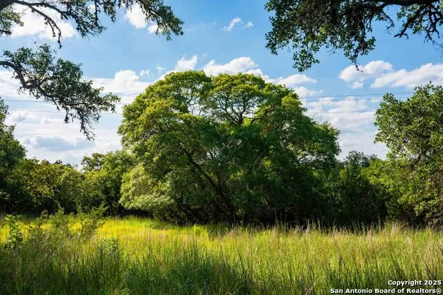 0 FM 1888 Blanco, TX 78606